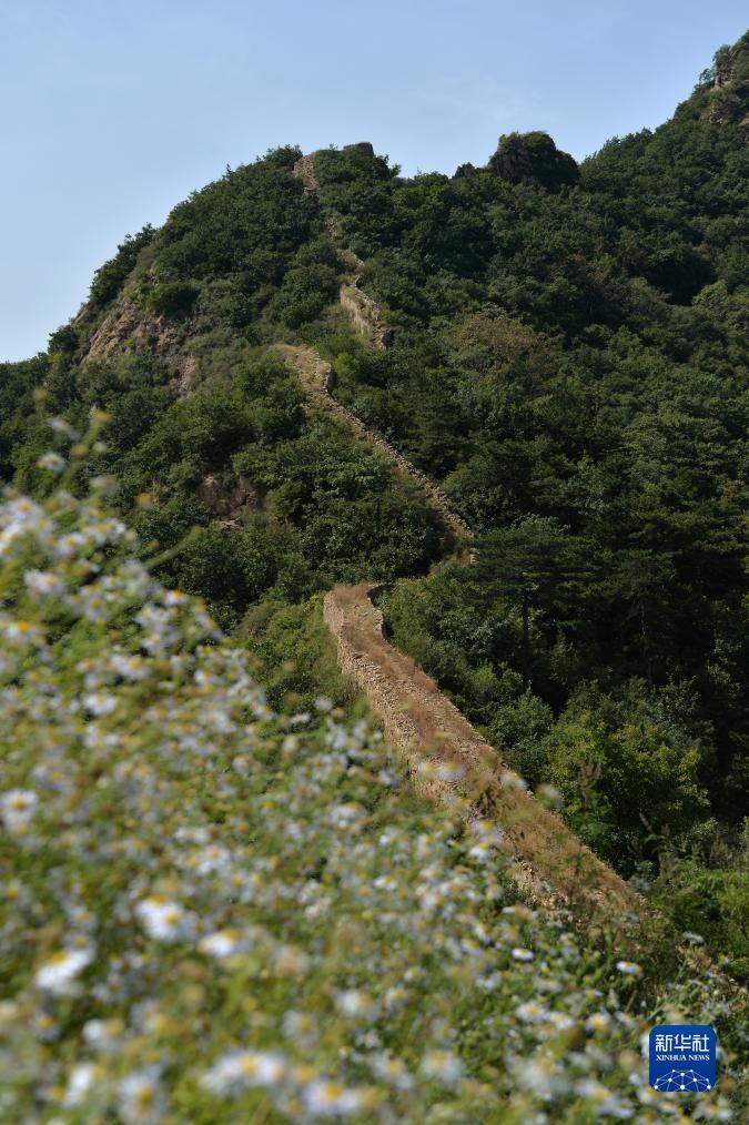 永利集团在线